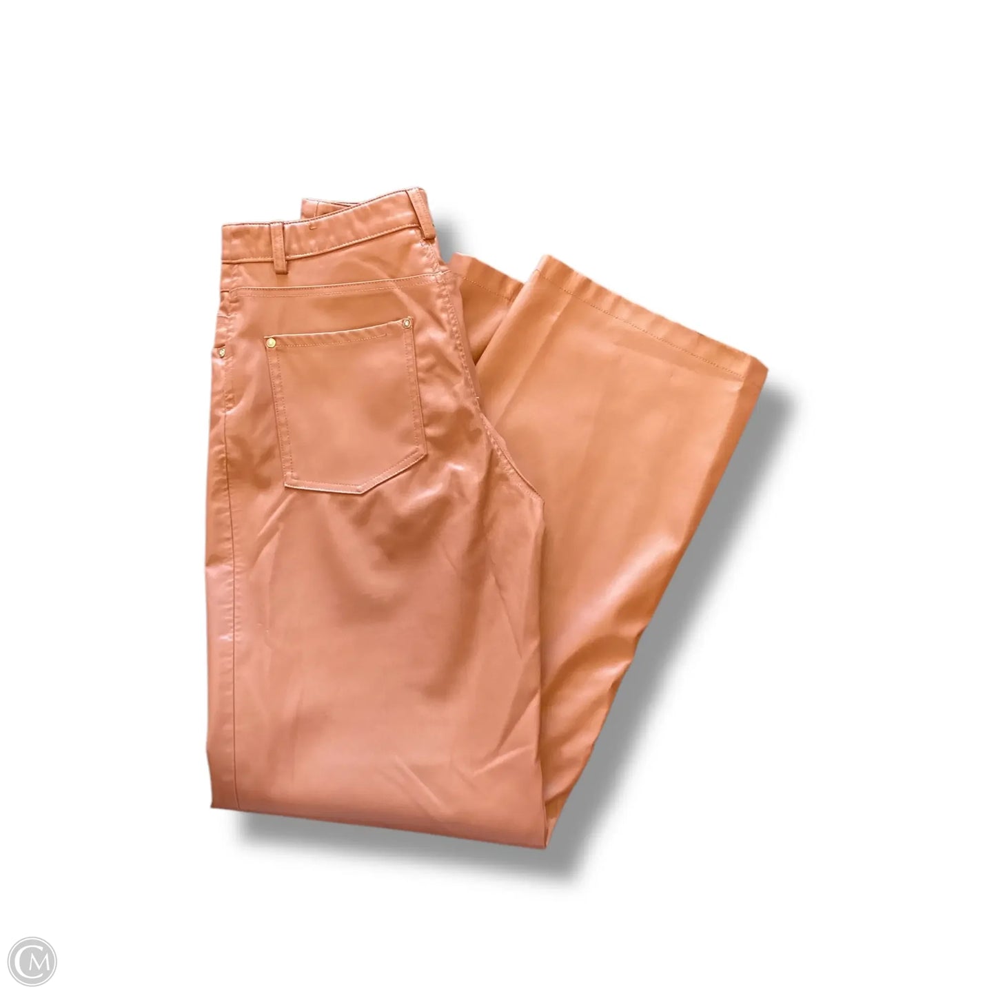 Pants Other By Zara In Brown, Size: 4