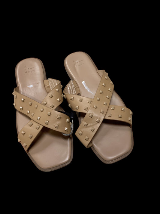 Sandals Flats By A New Day  Size: 6.5